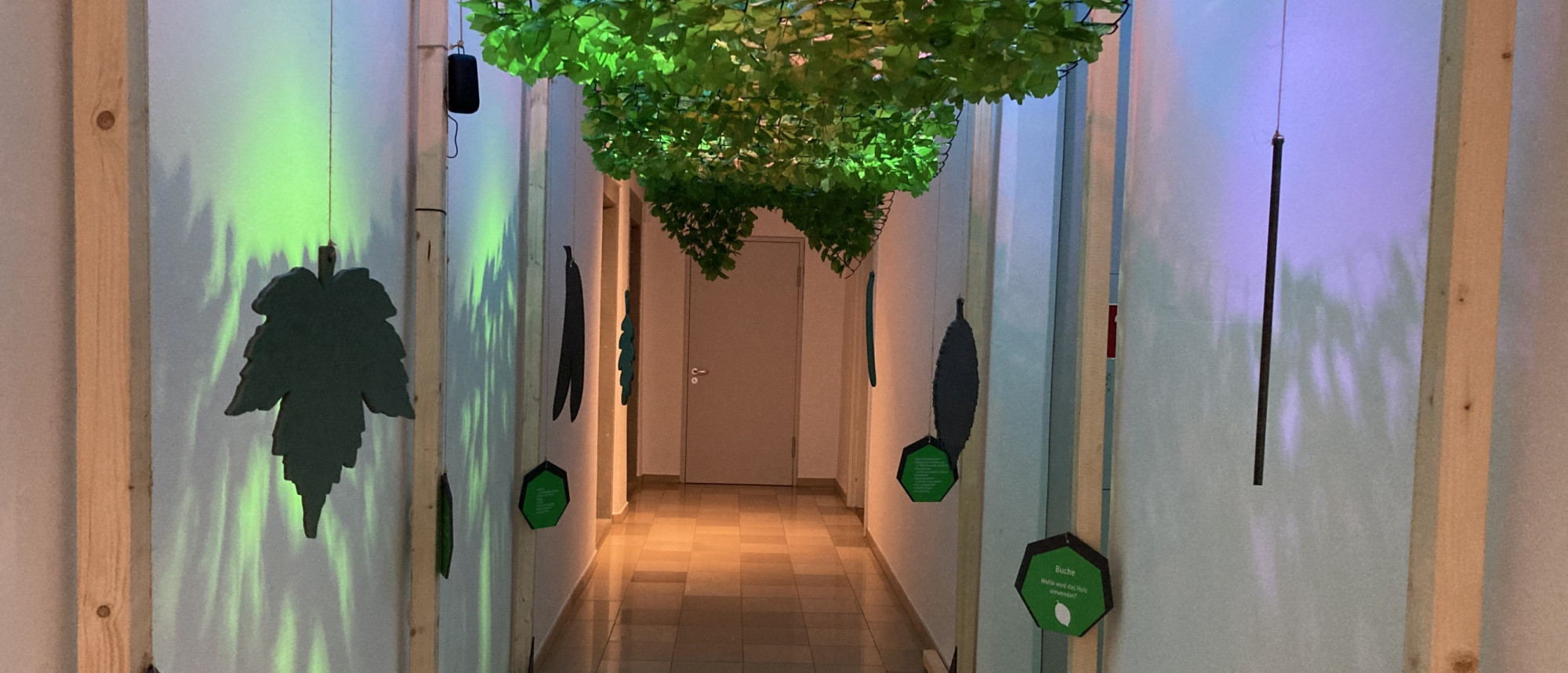 Was wird aus welchem Baum gemacht?